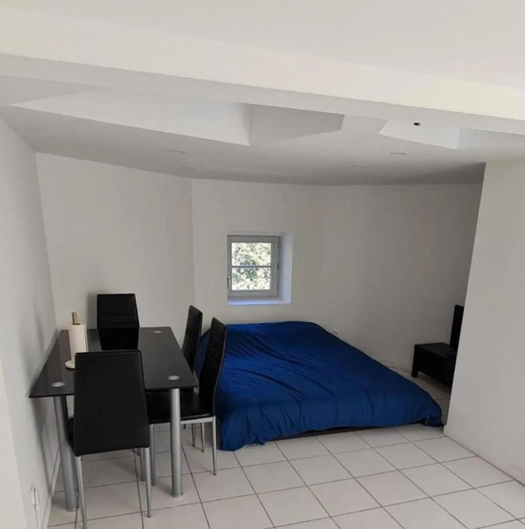 Studio Climatise Proche Chu Saint-Etienne  France